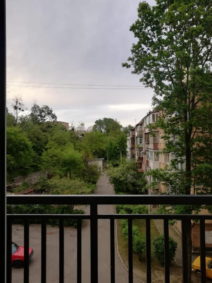 Lux Apartment, Near Metro Vasylkivska Kiev Dış mekan fotoğraf